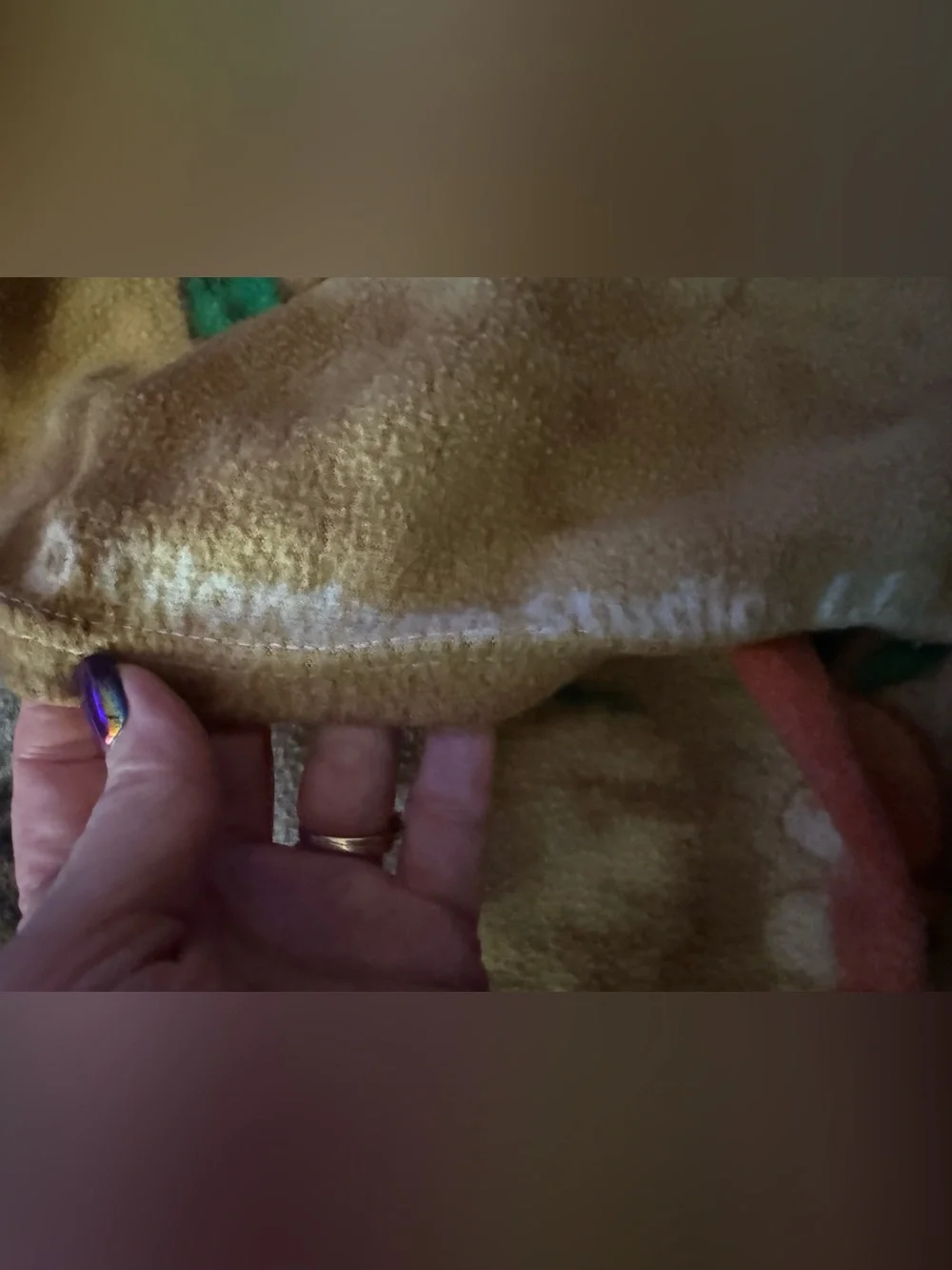 Humane Society Blanket Throw Dog & cat gift for donating by Giordano